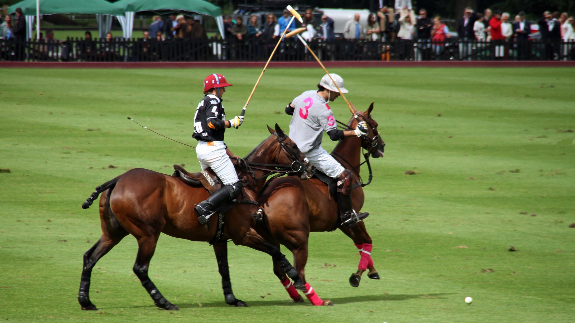 Dubai Polo & Equestrian Club