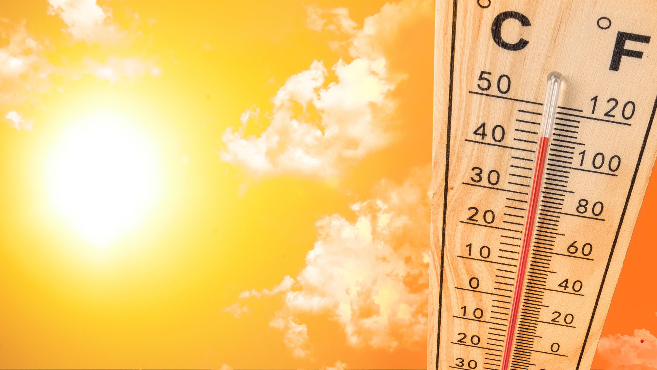 Hot Weather Alert: UAE Temperatures to Hit 50°C, NCM Cautions Residents