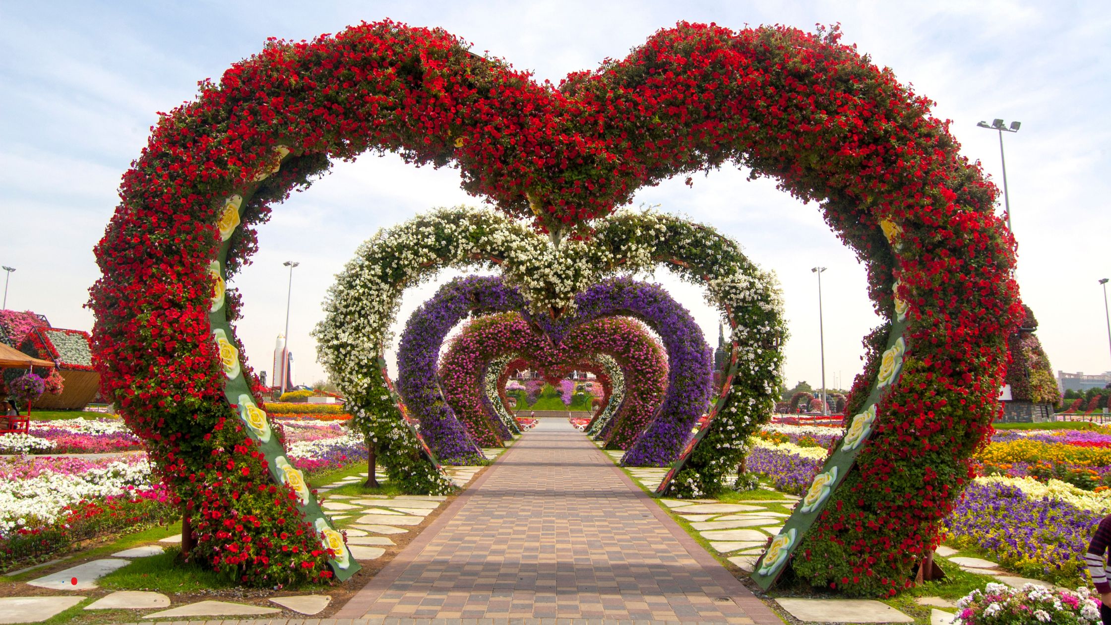 Dubai Miracle Garden Guide: Best Time to Visit, Tickets & Attractions