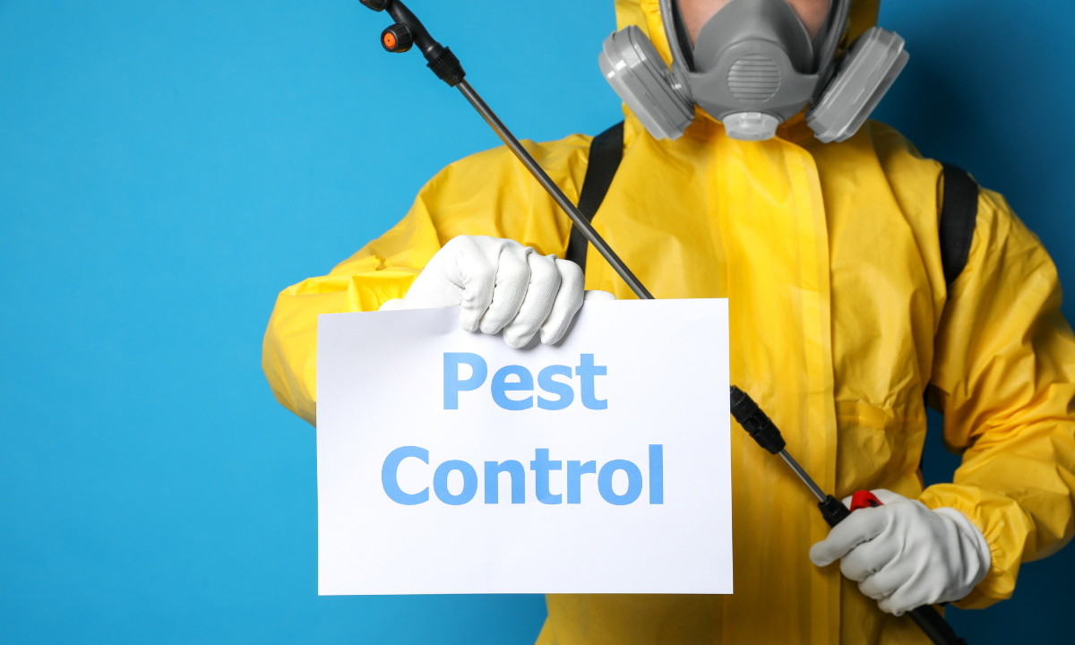 10 Best Pest Control Services in Abu Dhabi for Homes and Offices