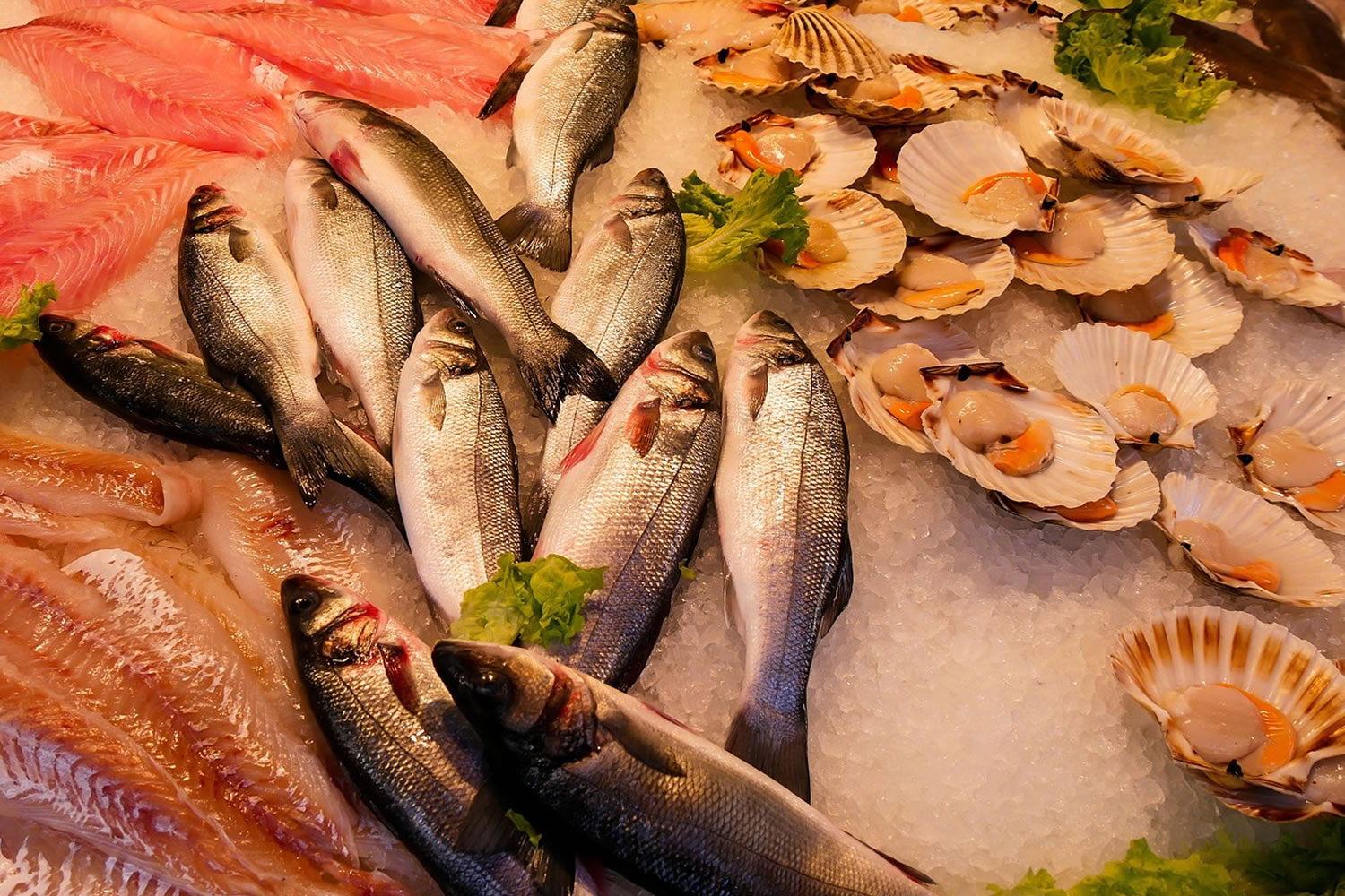 Ras Al Khaimah Fish Market