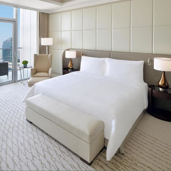 Address Fountain Views front view